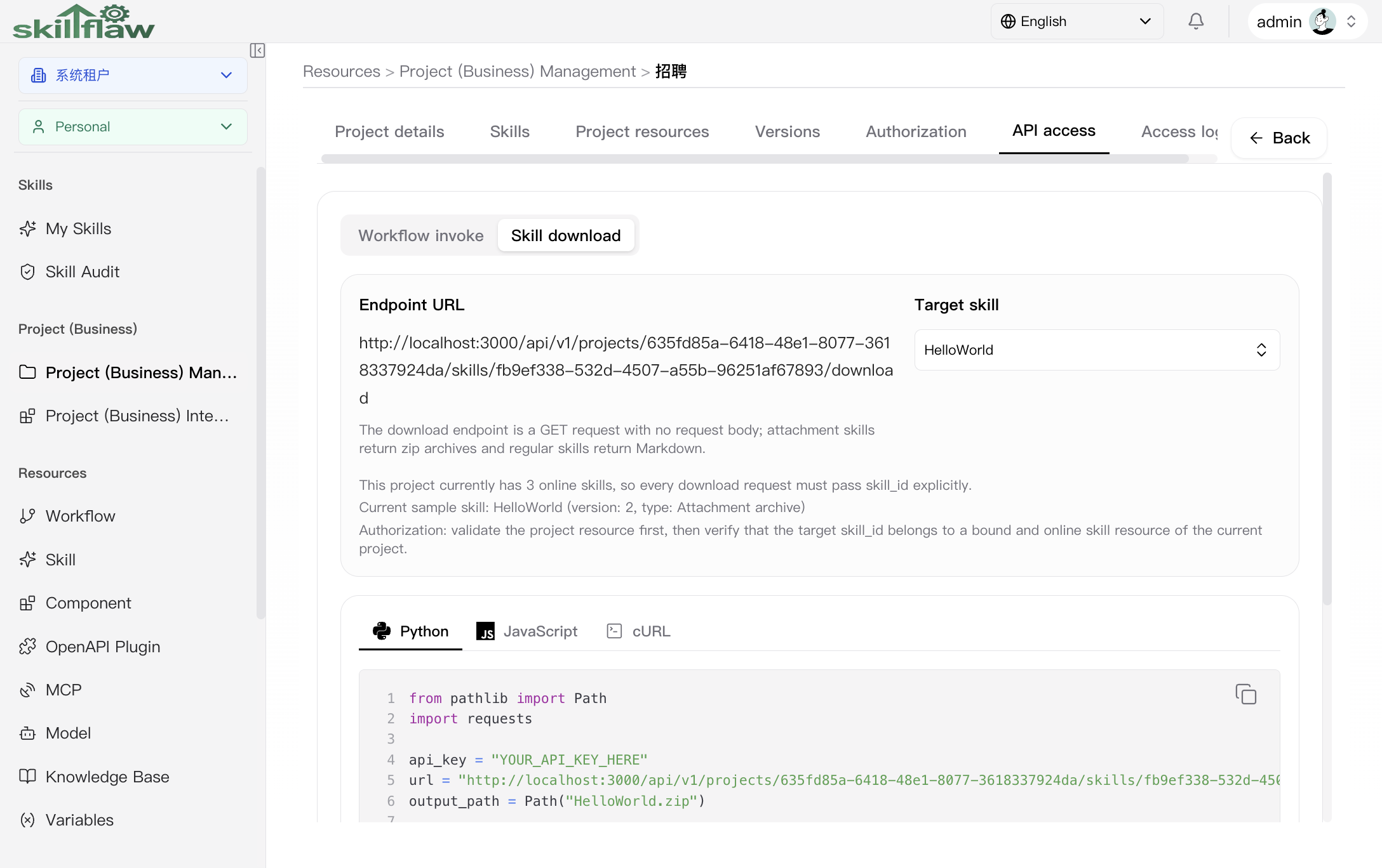Project API skill download sub-tab