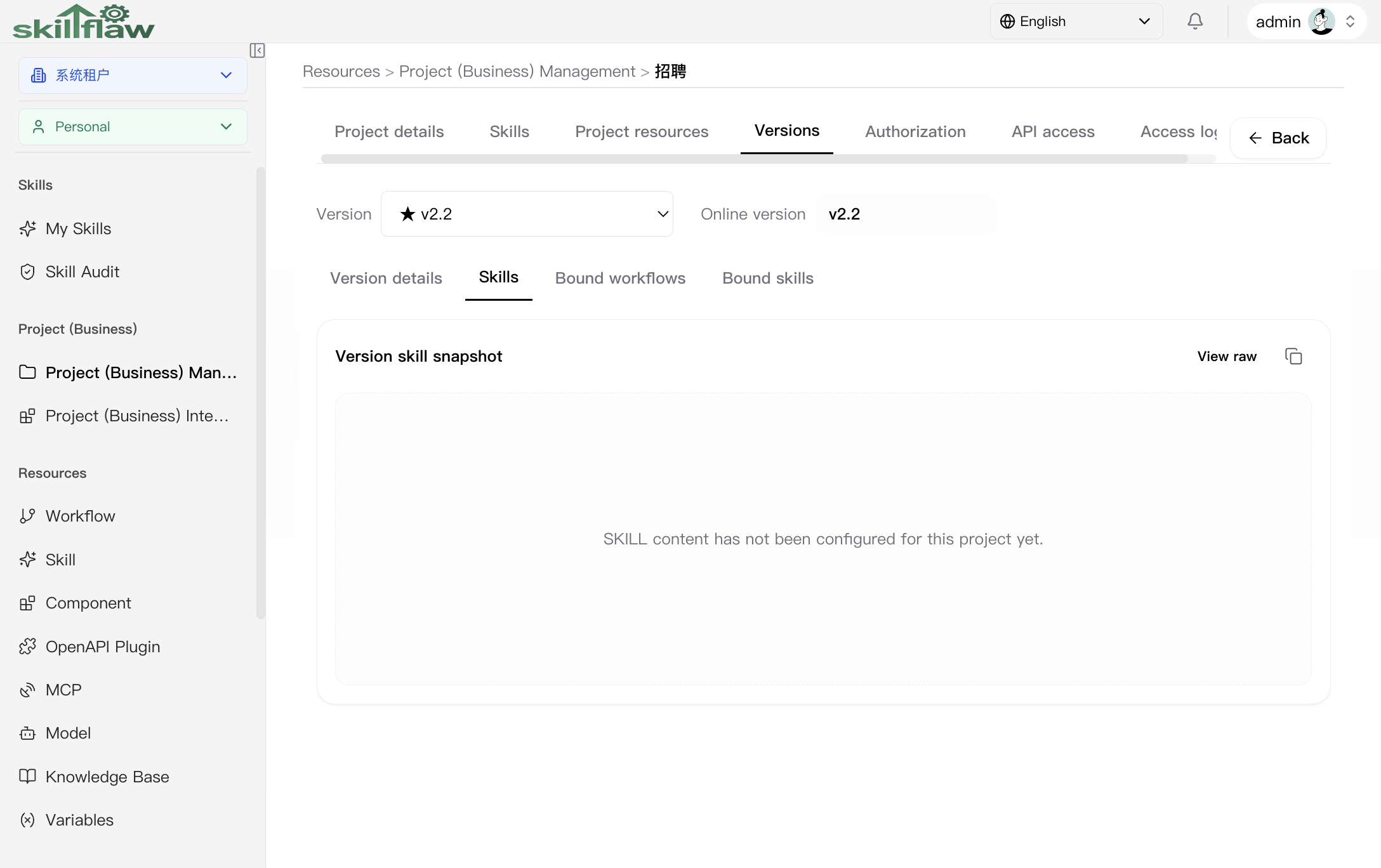 Project version skills sub-tab