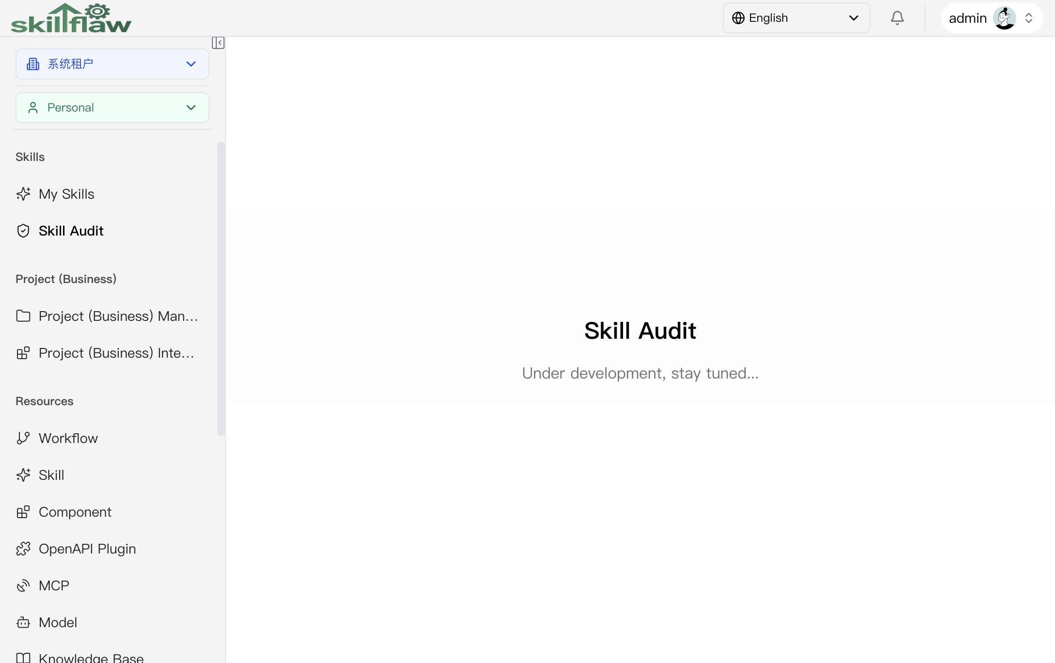 Skill Audit page