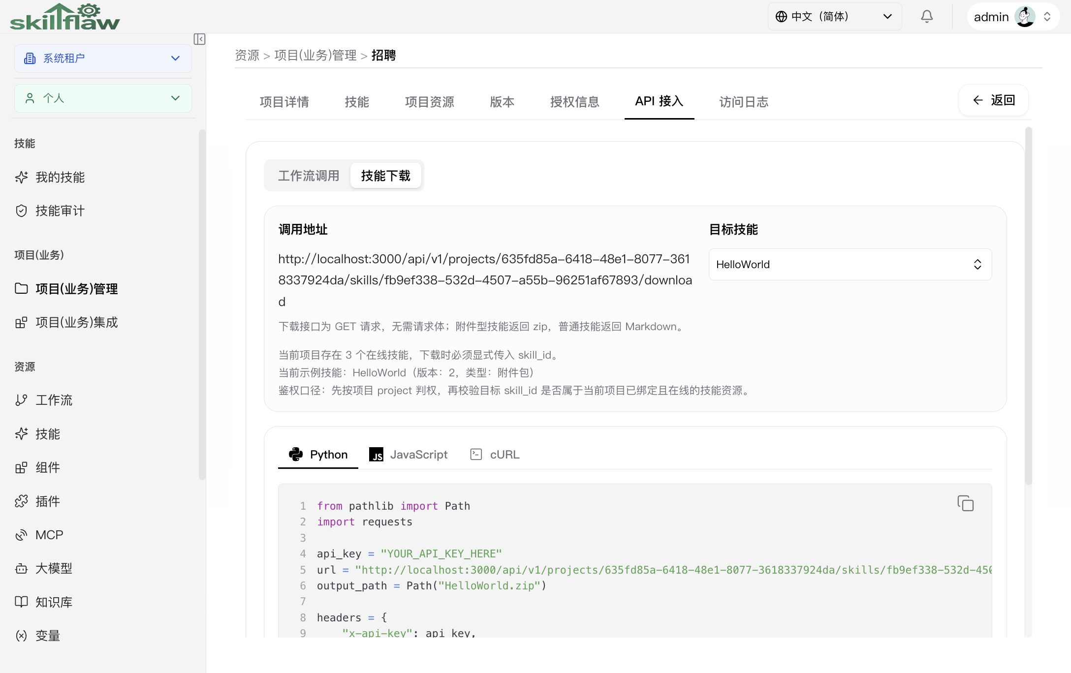 项目 API“技能下载”子页签