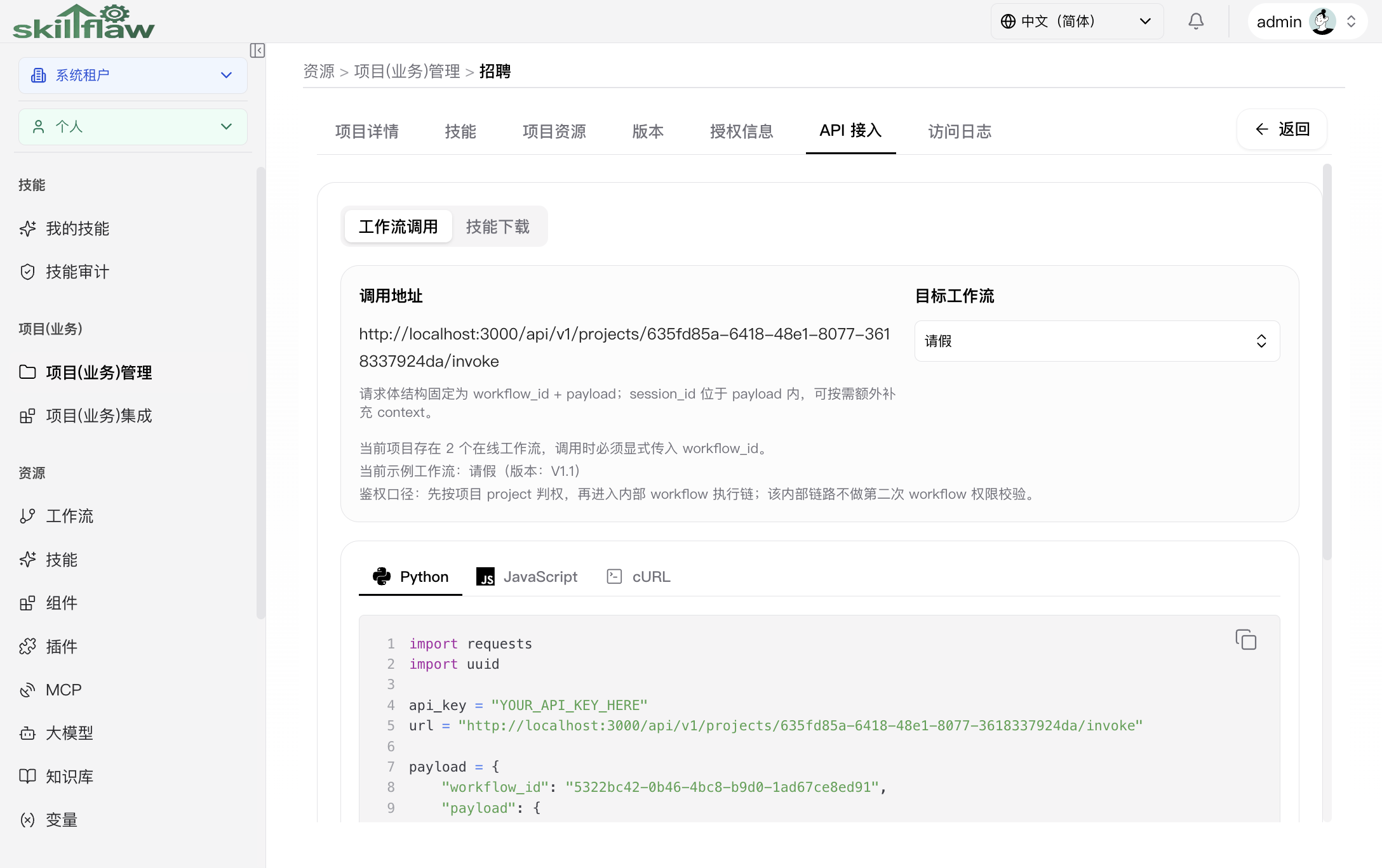 项目 API 页面
