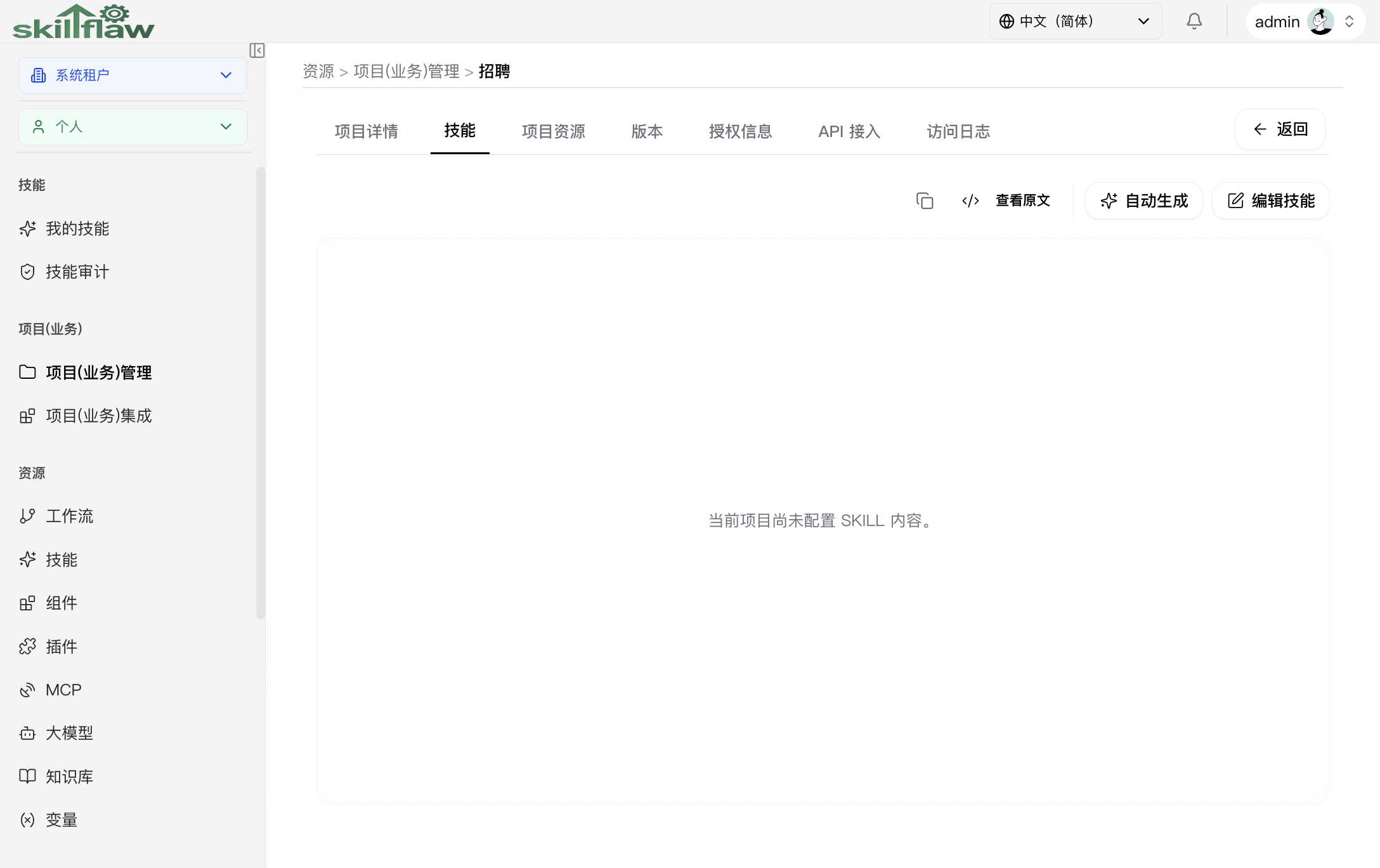 项目 Skill 页面